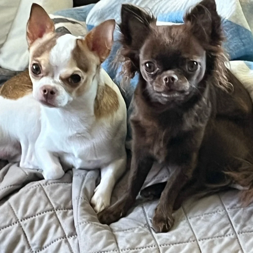 KMSCTE - Picture 6 of 14